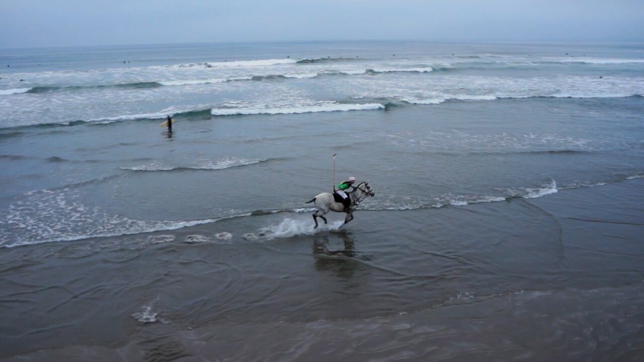 Horse Riding In the beach