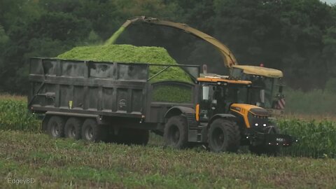 Big X chopping maize silage