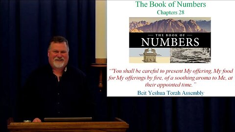 Numbers 28