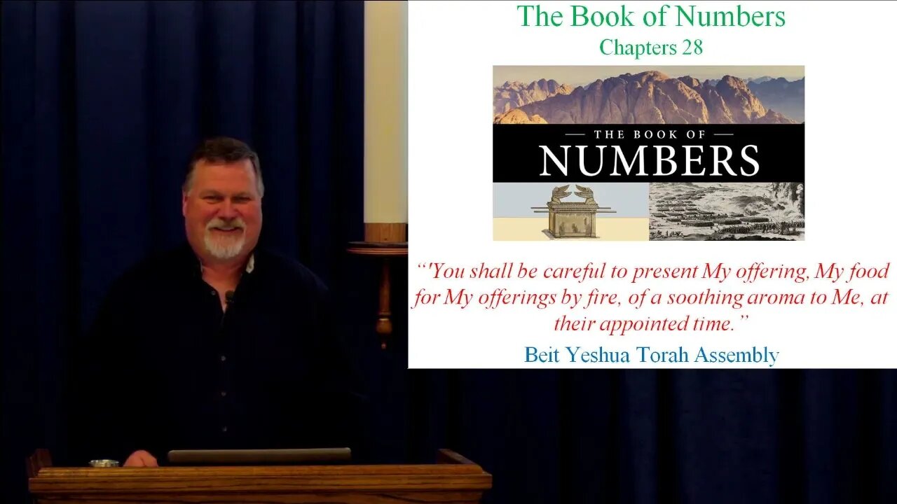 Numbers 28