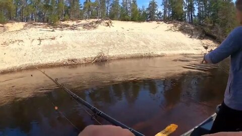 48-HOUR STEELHEAD Float Trip Catch & Cook __ Fishing for Steelhead Trout in Upper Peninsula MI % 15