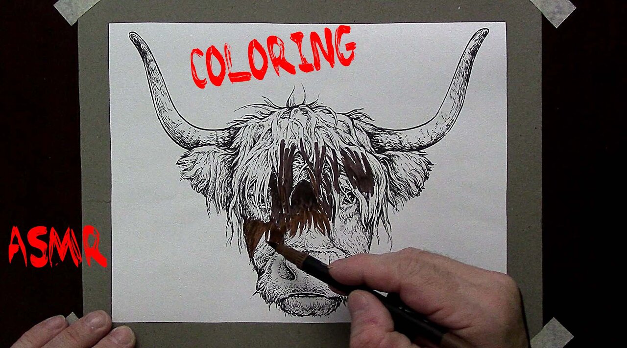 ASMR Coloring Animals -YAK