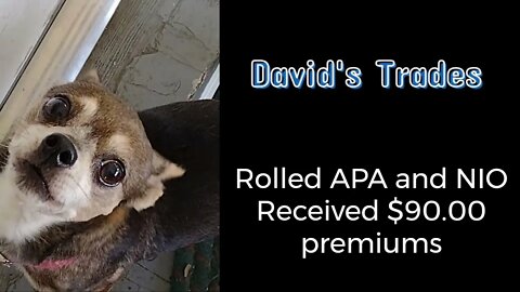 Rolled APA and NIO and received a total of $90.00 in premiums