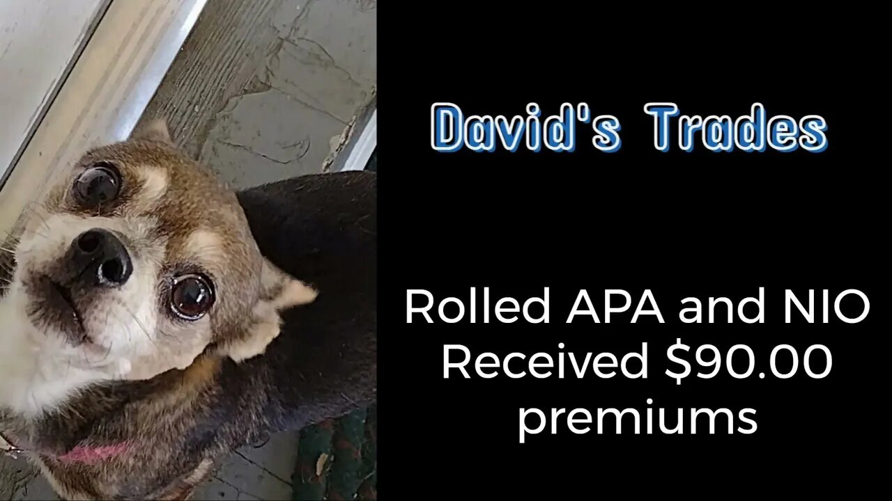 Rolled APA and NIO and received a total of $90.00 in premiums