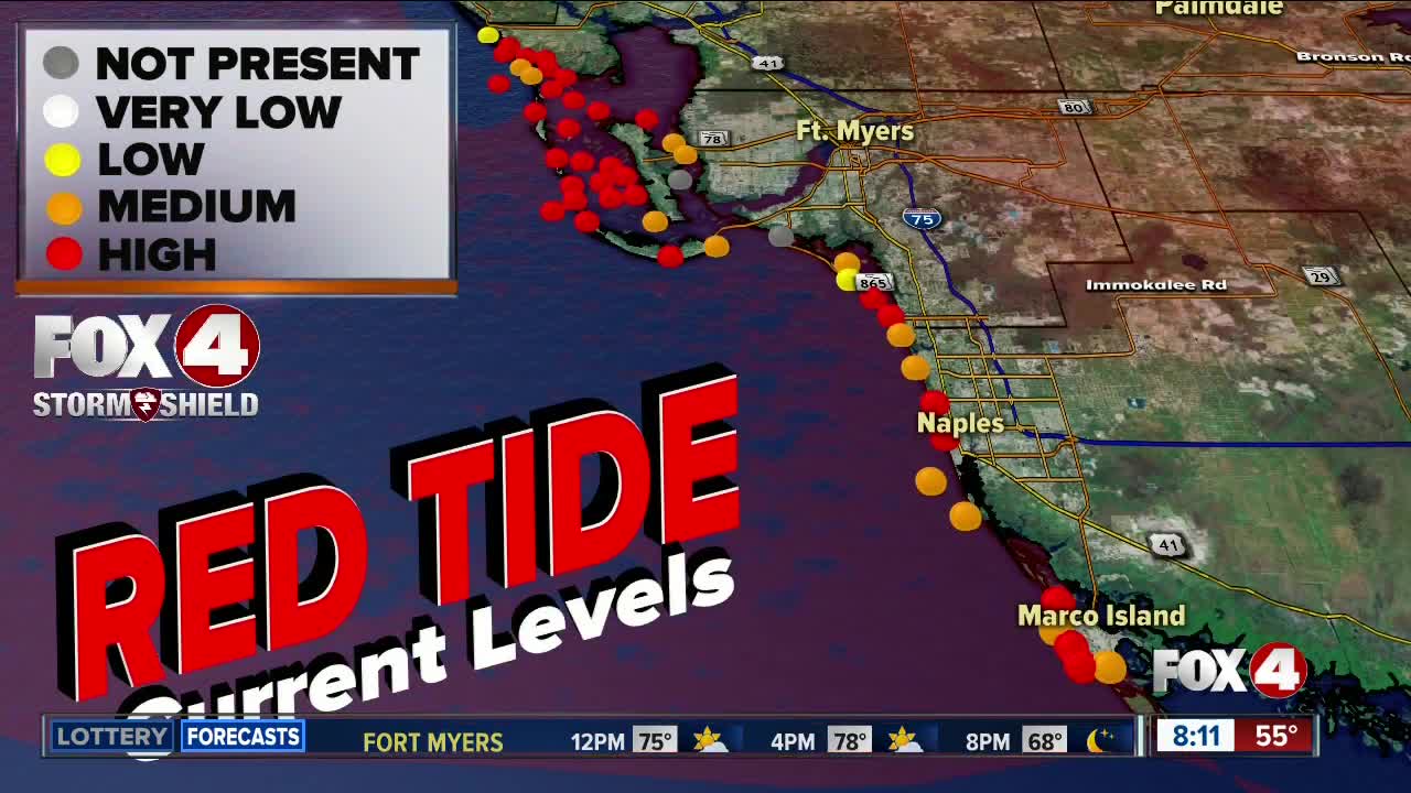 Concerns over red tide in Southwest Florida ahead of Thanksgiving holiday