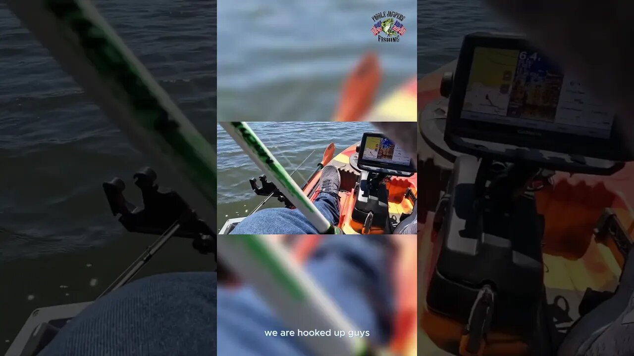 Unexpected catch at state park. #kayakfishing #stateparks #fishing