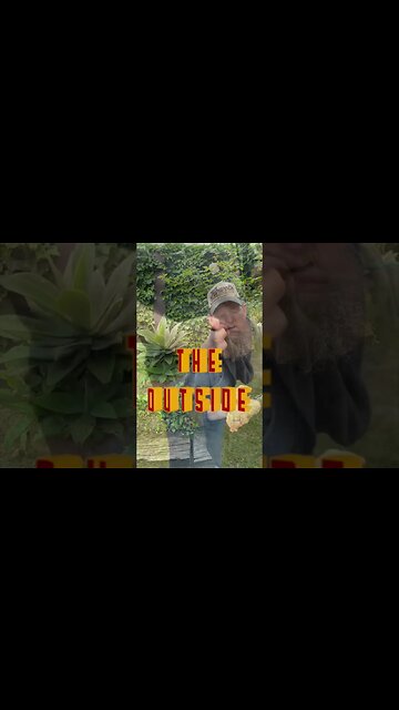 EDC community don’ts #knife #knivescollection #edcknife