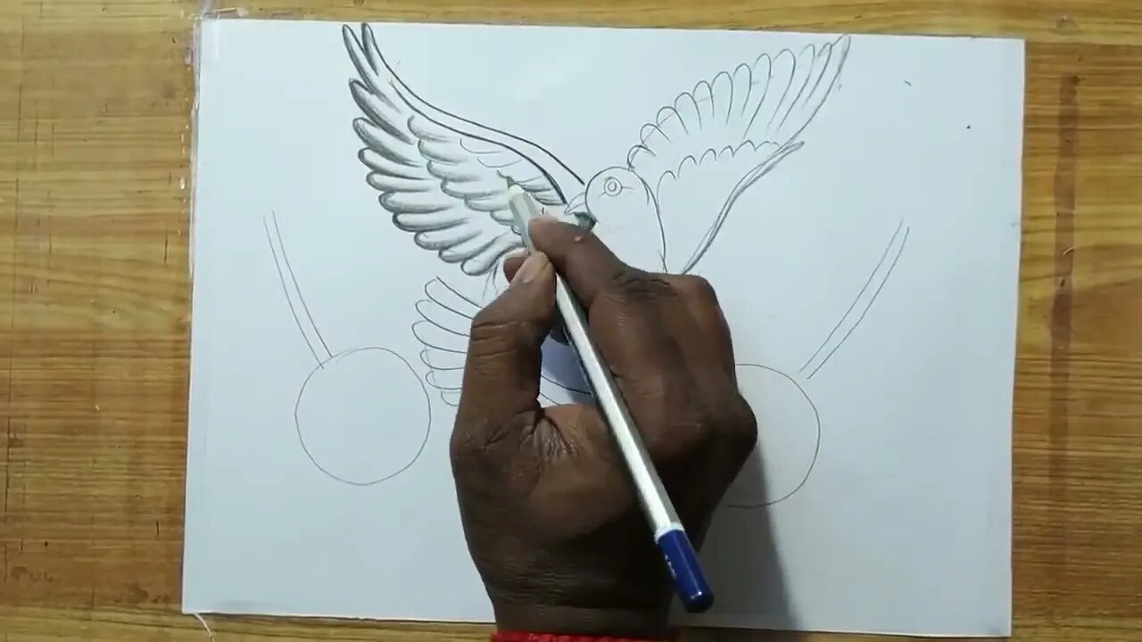 how to draw a pigeon and rose flowers with pencil sketch