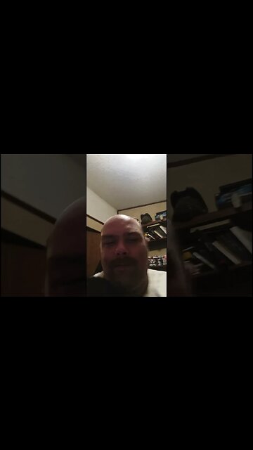 playing with kitty #shortsfeed #cat #youtubeshorts #shortsvideo #catlover #cutekitty #catshorts