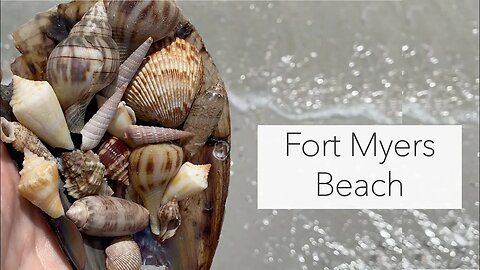 Fort Myers Beach today. What is on the beach and are there any people here?