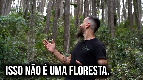 Como está a "saúde" da natureza no seu sítio?