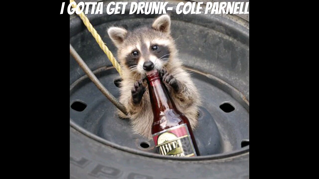 I Gotta Get Drunk - Cole Parnell