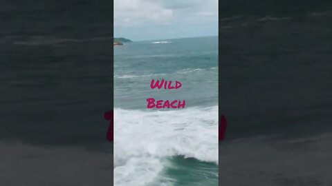 Wild Beach