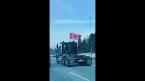 Freedom Convoy Hamilton Support