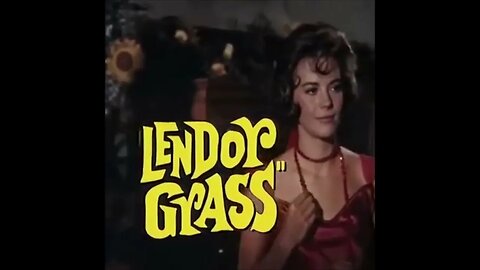 Movie Theme Splendor in the Grass 1961