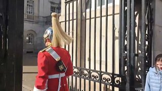 Kings guard laughs at tourist reaction #horseguardsparade