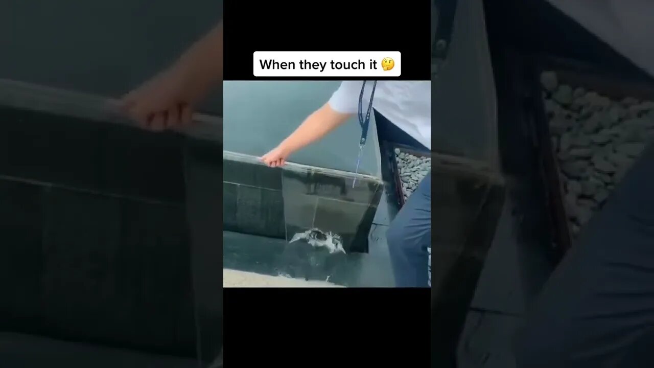 Fountain Hack Tiktok pleasurevid