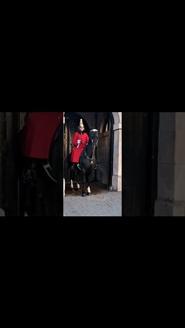 Horse won't settle #horseguardsparade