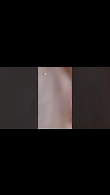 Gianni’s dunk over Tim bars away jr #nba #giannis #giannisantetokounmpo #basketball #shorts