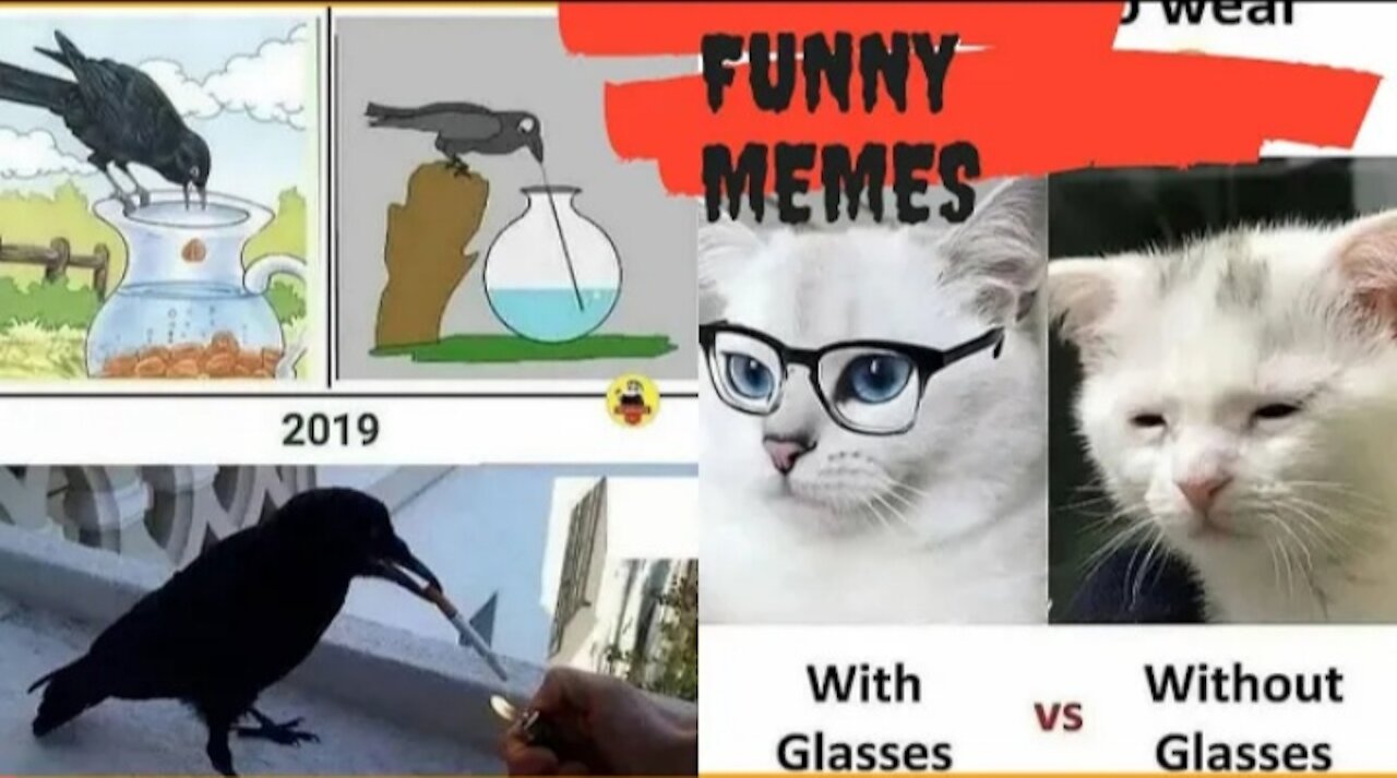 Best Funny Lol Video Of 2021