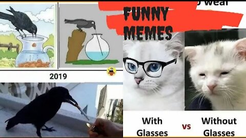 Best Funny Lol Video Of 2021