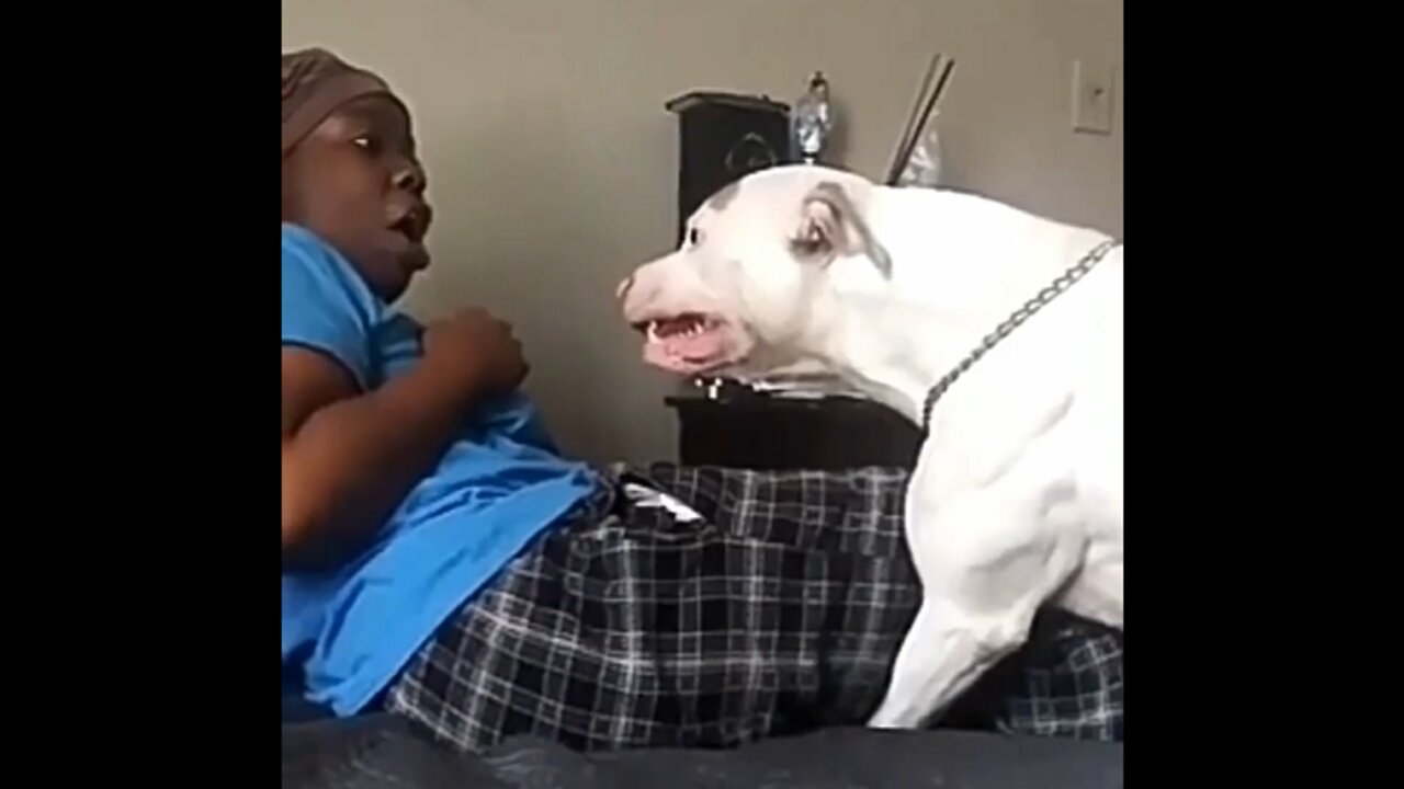 did you give my food?