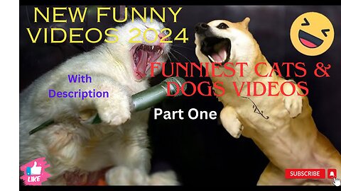 New Funny Videos 2024 😍 Funniest Cats & Dogs Videos (Part one)
