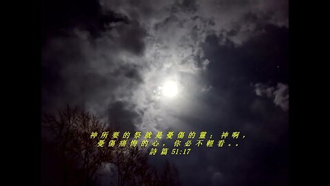 今天的每日聖經經文Jīntiān de měi rì shèngjīng jīng wén