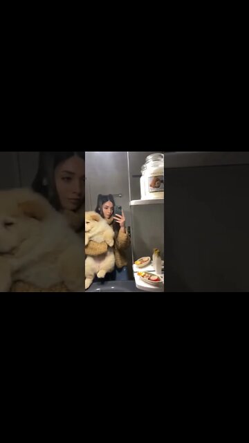 Want to be a social influencer ? you must look like this ! #short