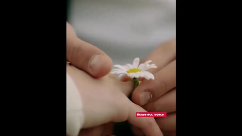 One day we will go to our dreams (දවසක් ඒවි අපිත් අපේ හීන වලට යාවි) @Beautiful world #youtube