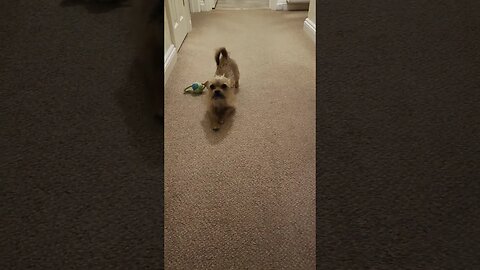 Too Much Cute 🥰