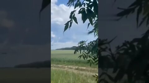 Zoooom Zooom