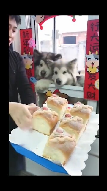 Cutest video of the day 😱😱