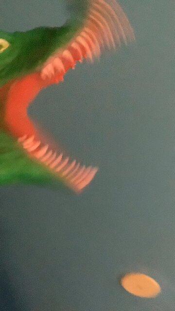 Yes, I have watched Hoodwinked before, how can you tell?