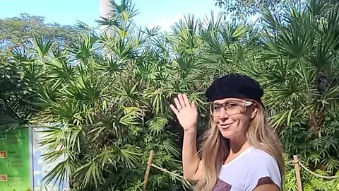 Botanical Gardens In Naples With Penelope Jean Hayes