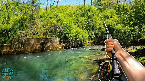 30 DAY FISHING CHALLENGE (Multi-species) || Fly Fishing, Spin Fishing, and Tenkara Fishing