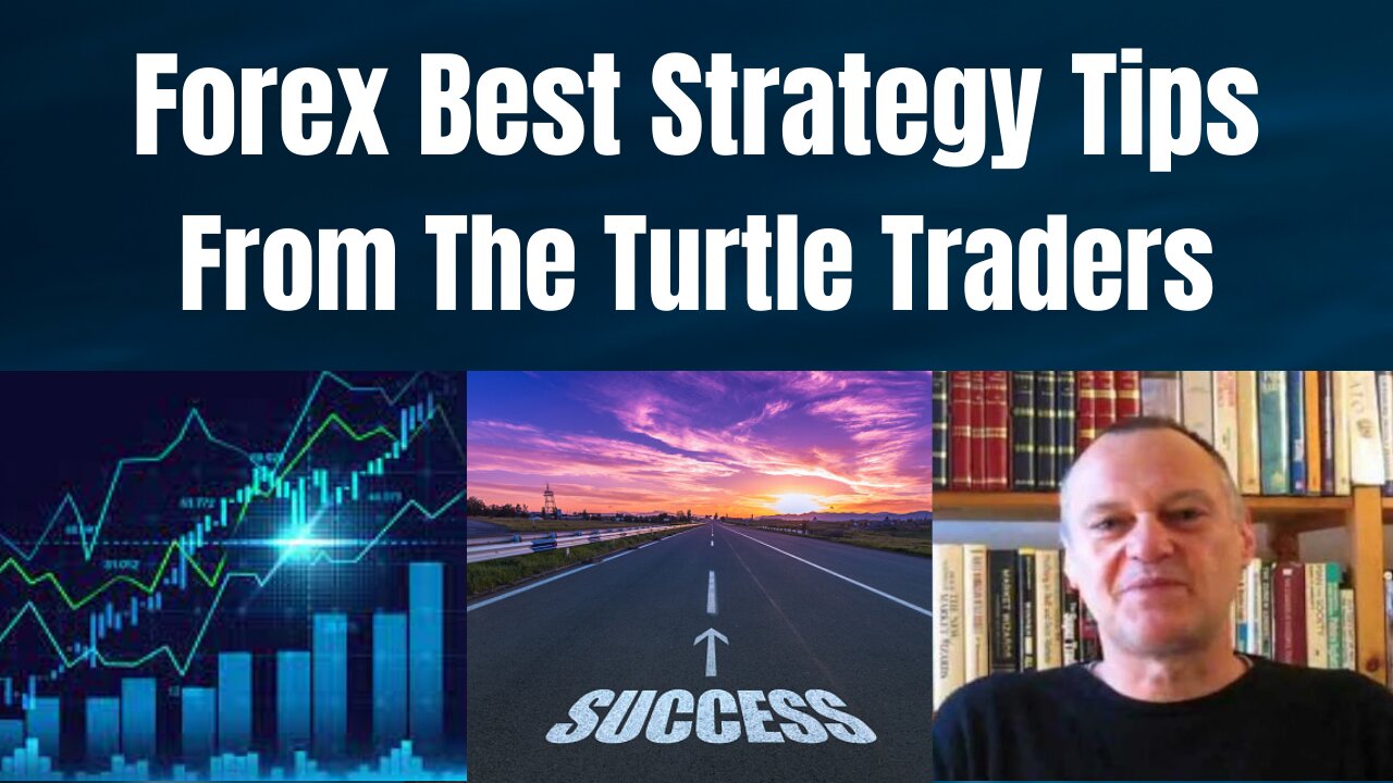 Forex Trading Strategy Tips - Advice from the Millionaire Turtle Traders