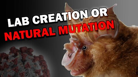 COVID Virus: Scientifically Manipulated or all Natural Mutation?