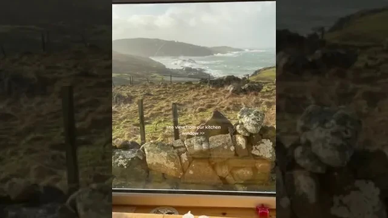 View From Kitchen Window tiktok ronafrances