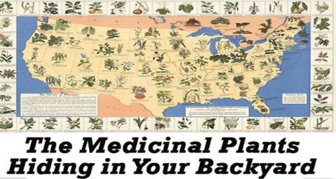 THE BENEFICIAL PLANT REMEDIES AND LOST CURES OF NORTH AMERICA