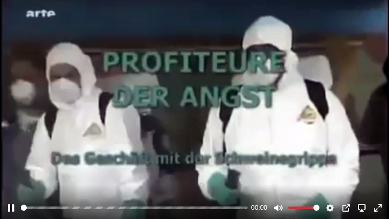 PROFITEURE DER ANGST - arte 2009 | Das Geschäft mit der Schweinegrippe