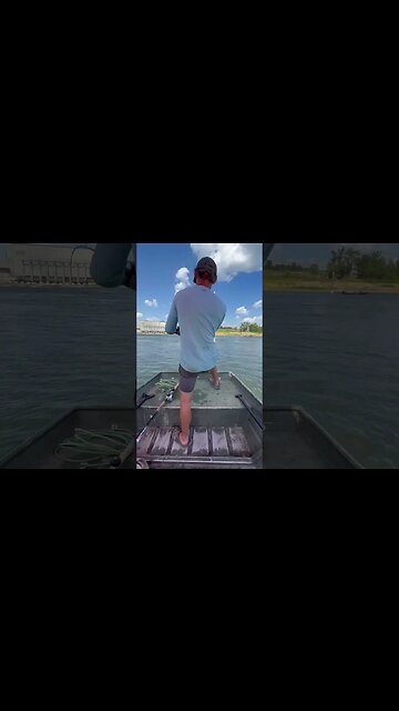 Yozuri Hydro Monster Shot Lands A Giant At The Spillway