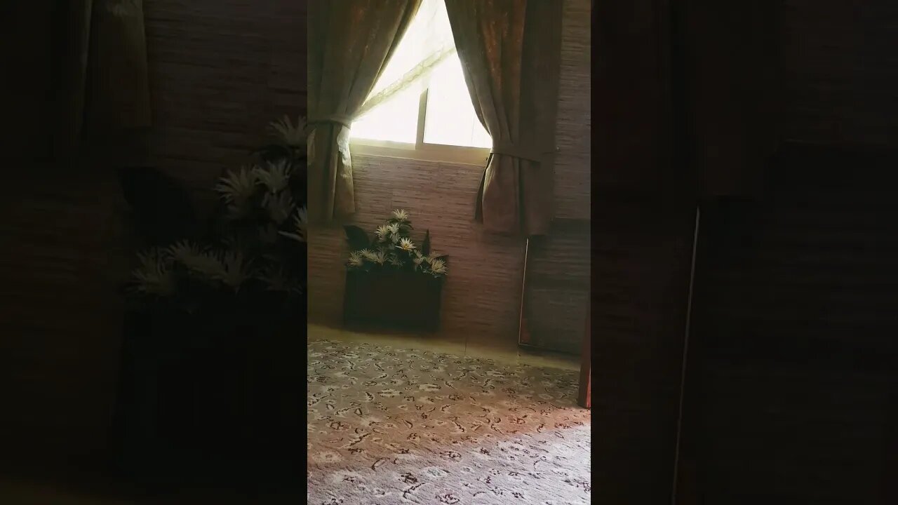 ٢٣ أكتوبر، ٢٠٢٢