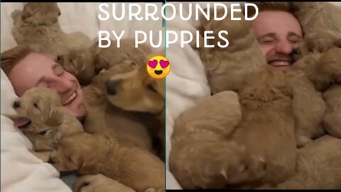 Man Surrounded by Cute Puppies 😍