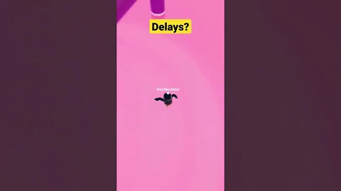 Epic Move Caused By Delays - Jump Showdown #fallguys #shorts #epic