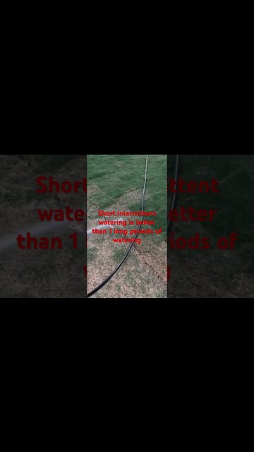 #viral #shorts #water #lawn #mowing #grass #bermuda #lawncare #home #tahoma