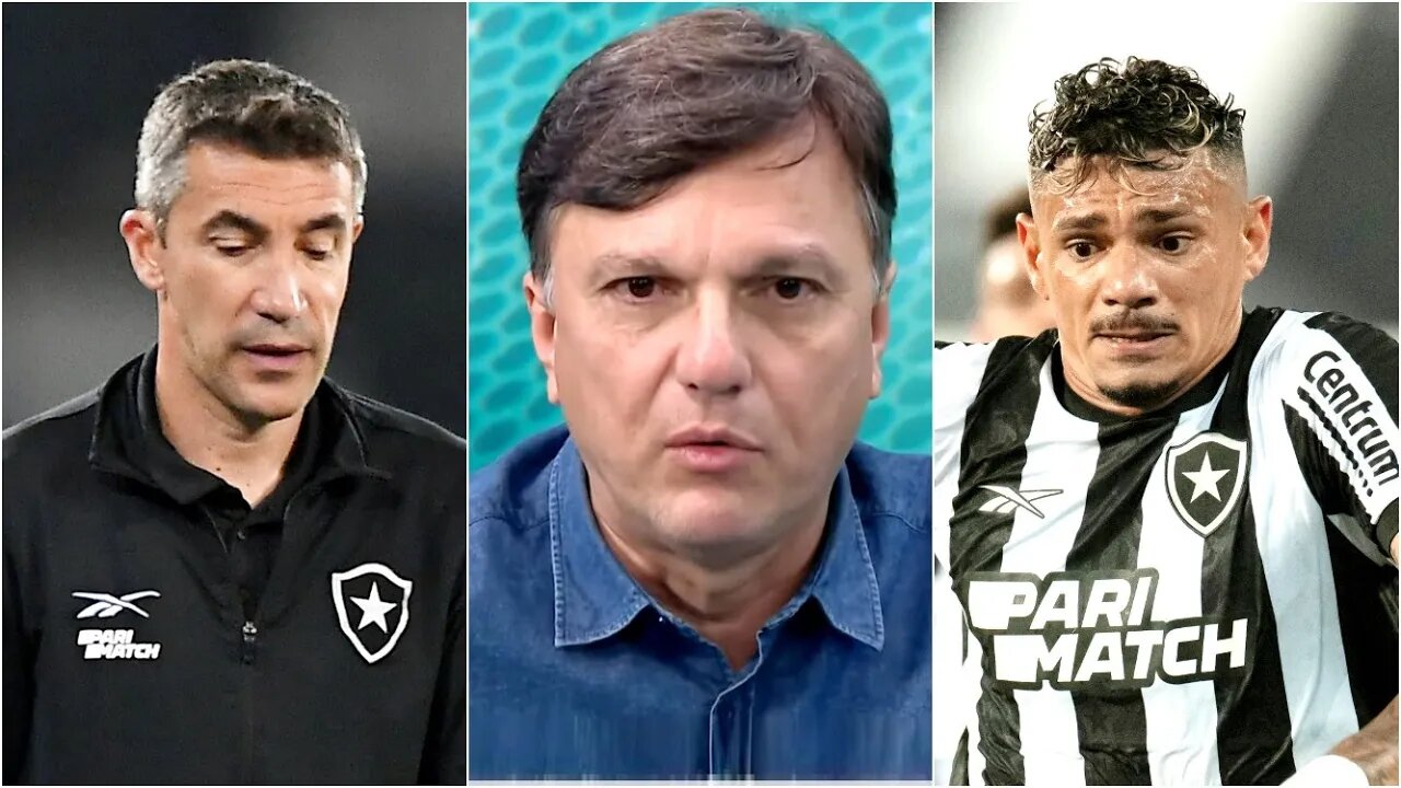 "EU VENHO FALANDO ISSO HÁ MUITO TEMPO! Gente, o Botafogo..." Mauro Cezar faz BAITA ANÁLISE do LÍDER!