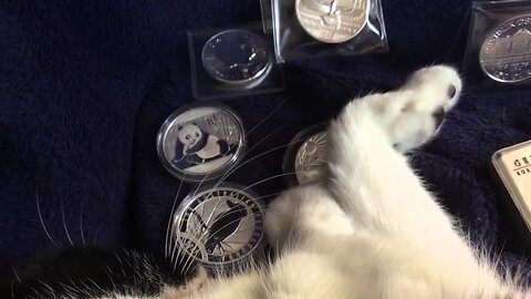 What Kind Of Silver Should I Buy? Pt 1
