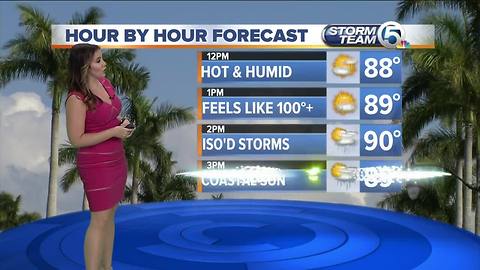 South Florida Wednesday afternoon forecast (8/8/18)