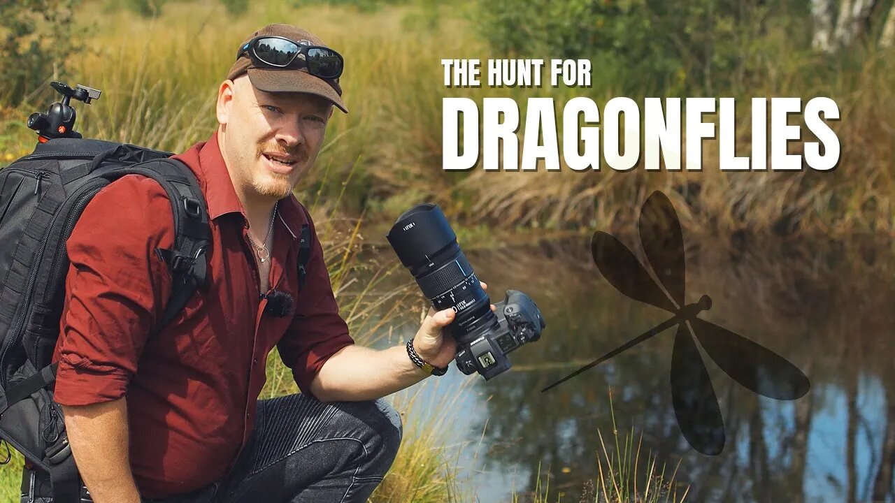 The Hunt for Dragonflies | A Macro Photography Walk